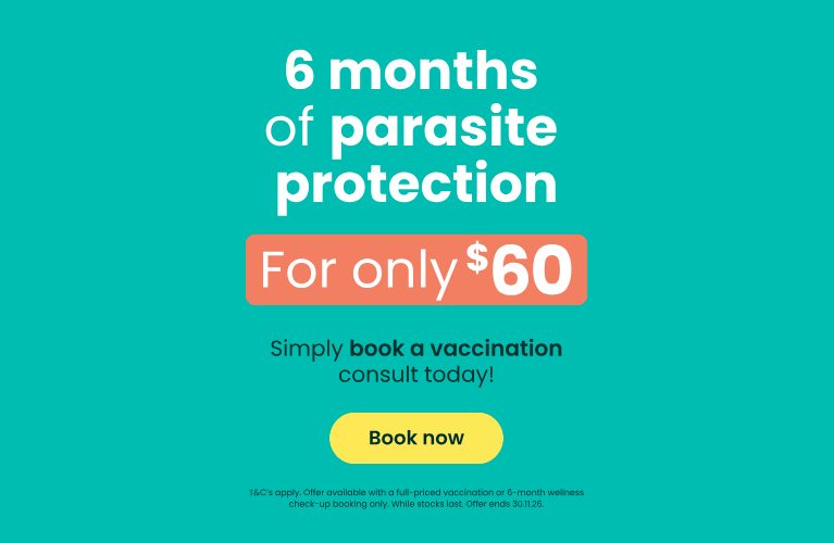 6 months of parasite protection for only $60. T&C's apply. Offer ends 30.11.26.